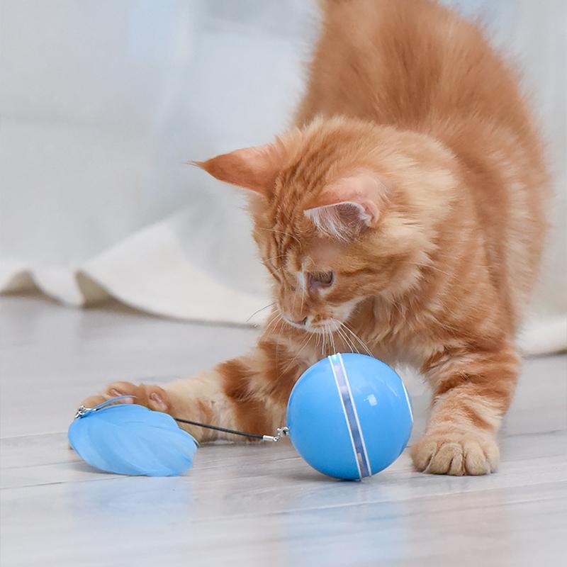 (🌲Weihnachtsangebot - 48 % RABATT) Freietaube Laser Katzenball mit Feder🎉