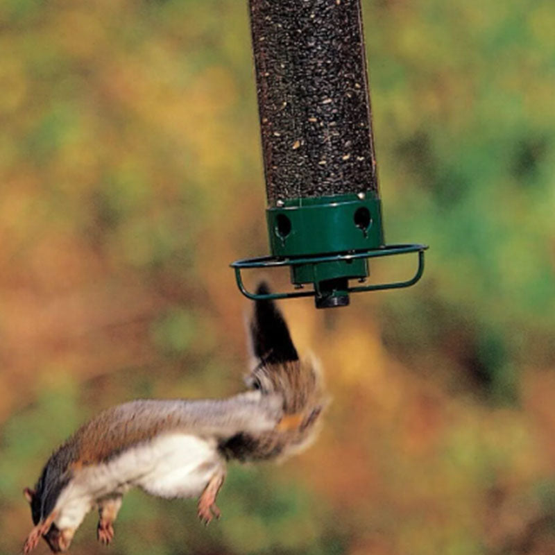 🐦Eichhörnchensicherer Vogelhäuschen