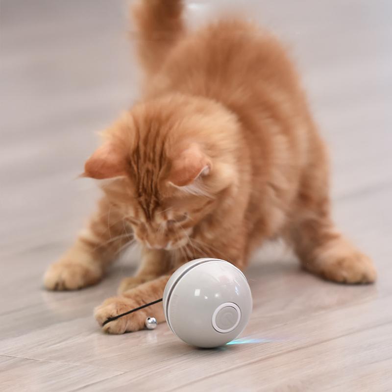 (🌲Weihnachtsangebot - 48 % RABATT) Freietaube Laser Katzenball mit Feder🎉