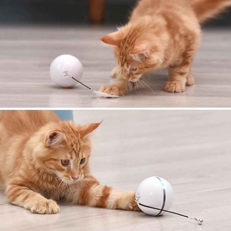 (🌲Weihnachtsangebot - 48 % RABATT) Freietaube Laser Katzenball mit Feder🎉