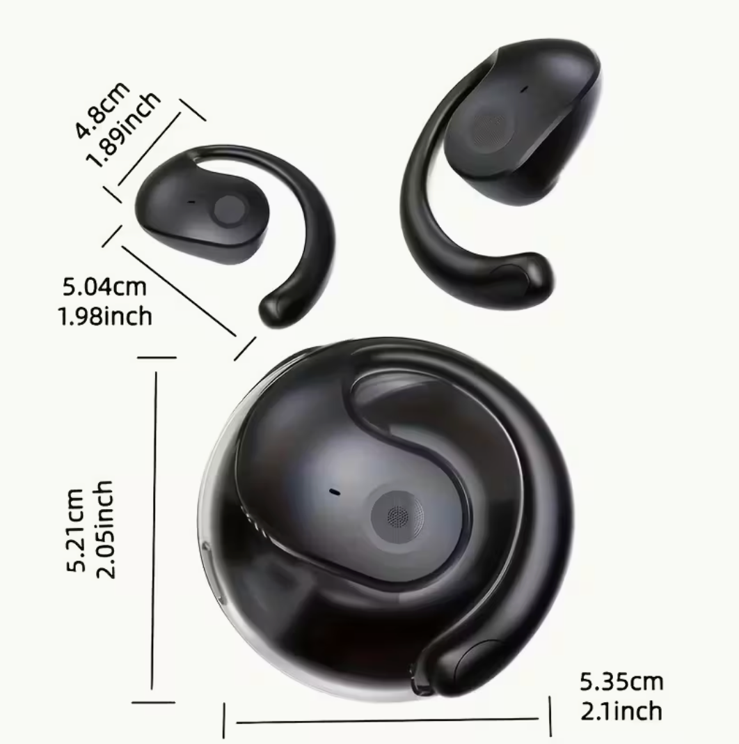 AI Earbuds