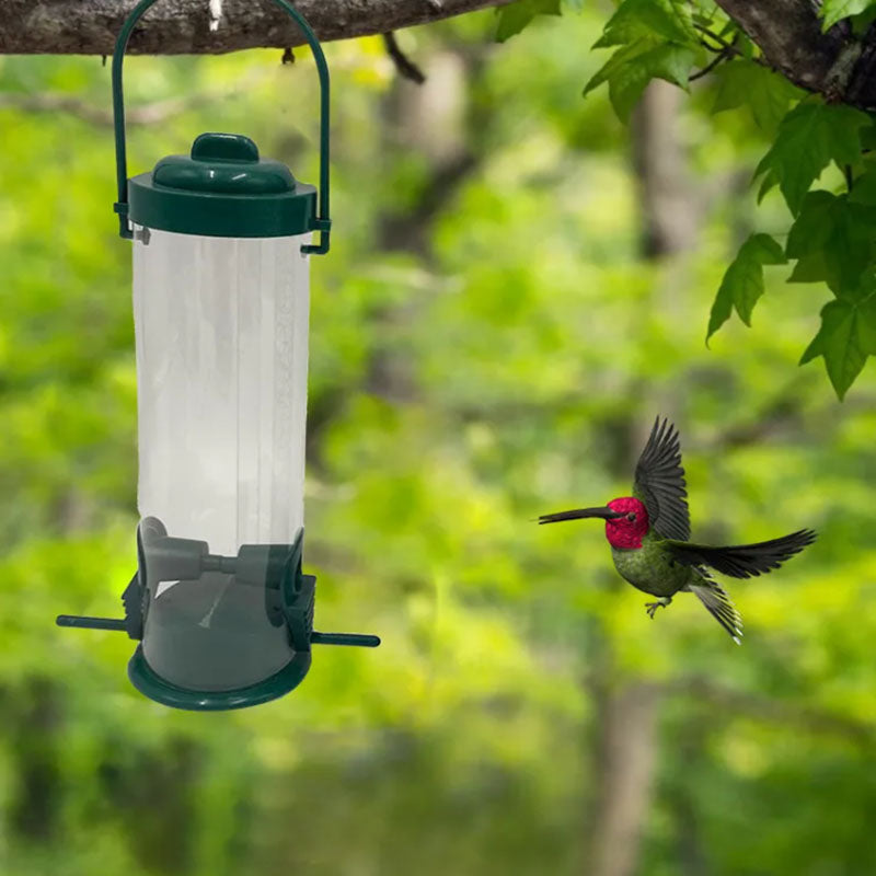 🐦Eichhörnchensicherer Vogelhäuschen